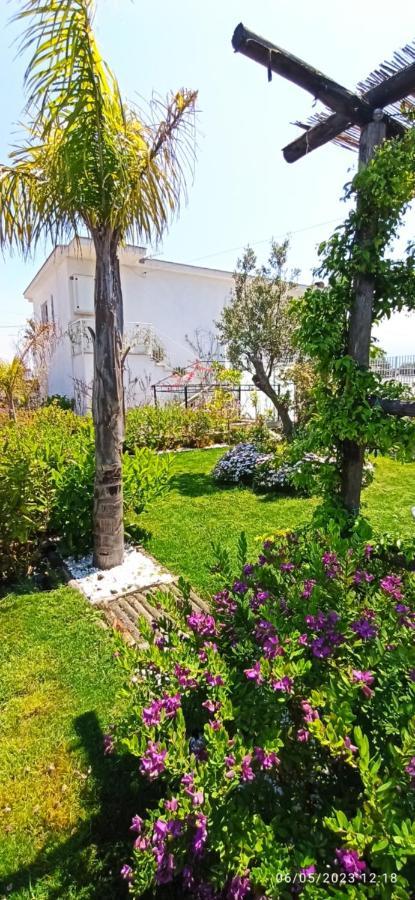 La Villa Degli Dei - Guest House カステッランマーレ・ディ・スタービア エクステリア 写真